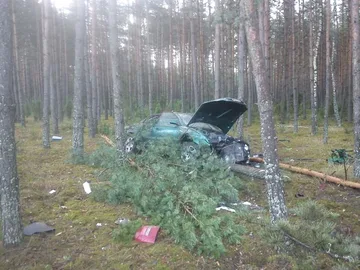 Następne zdjęcie