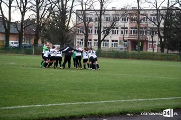 Następne zdjęcie