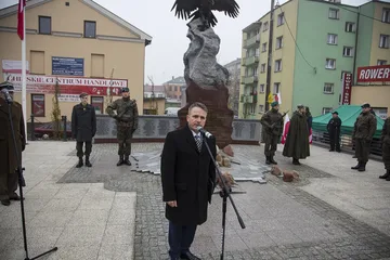Następne zdjęcie