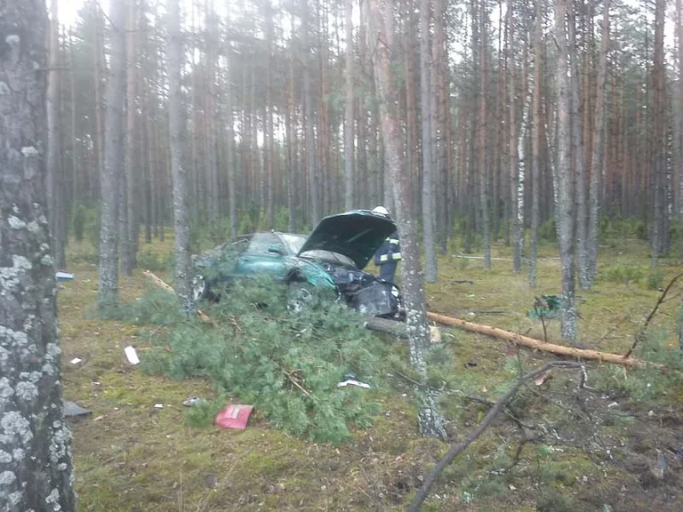 Rozbił auto na drzewie (zdjęcia)