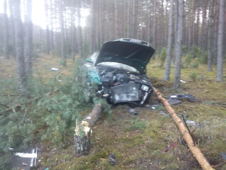 Rozbił auto na drzewie (zdjęcia)