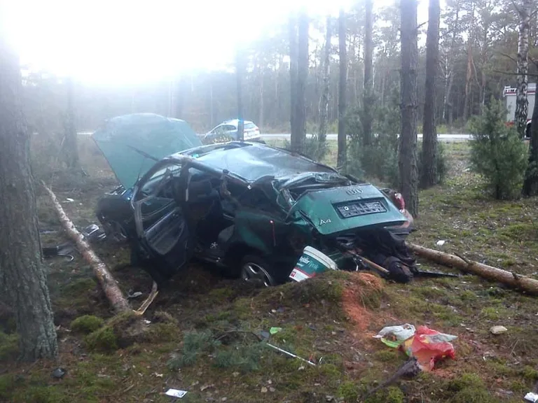 Rozbił auto na drzewie (zdjęcia)