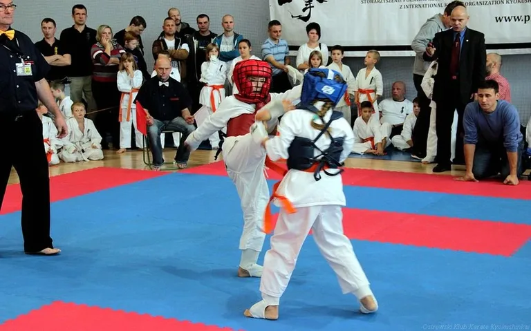 Karatecy OKKK z medalami w Józefowie (zdjęcia)
