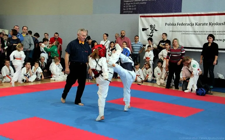 Karatecy OKKK z medalami w Józefowie (zdjęcia)