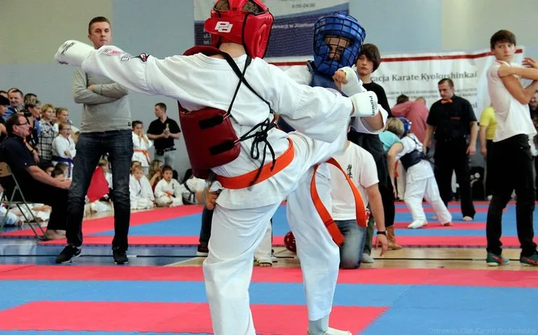 Karatecy OKKK z medalami w Józefowie (zdjęcia)