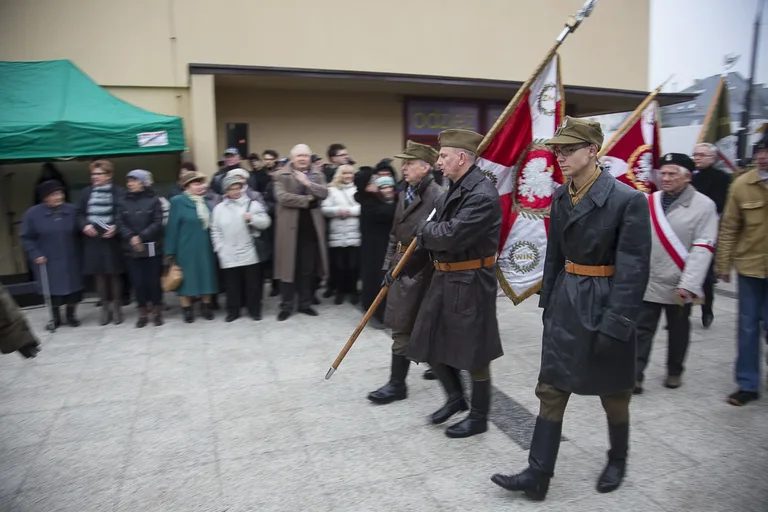 Uroczyste odsłonięcie pomnika ŻW (zdjęcia, wideo)
