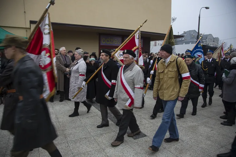 Uroczyste odsłonięcie pomnika ŻW (zdjęcia, wideo)