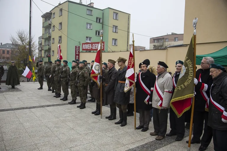 Uroczyste odsłonięcie pomnika ŻW (zdjęcia, wideo)