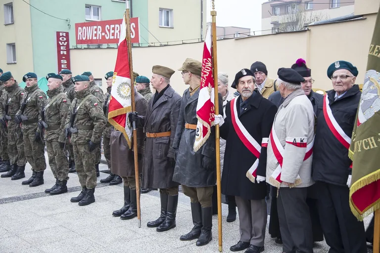 Uroczyste odsłonięcie pomnika ŻW (zdjęcia, wideo)