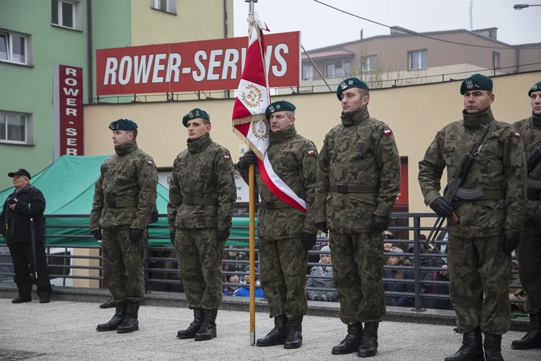 Uroczyste odsłonięcie pomnika ŻW (zdjęcia, wideo)