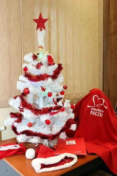 Finał "Szlachetnej Paczki" za nami (zdjęcia)