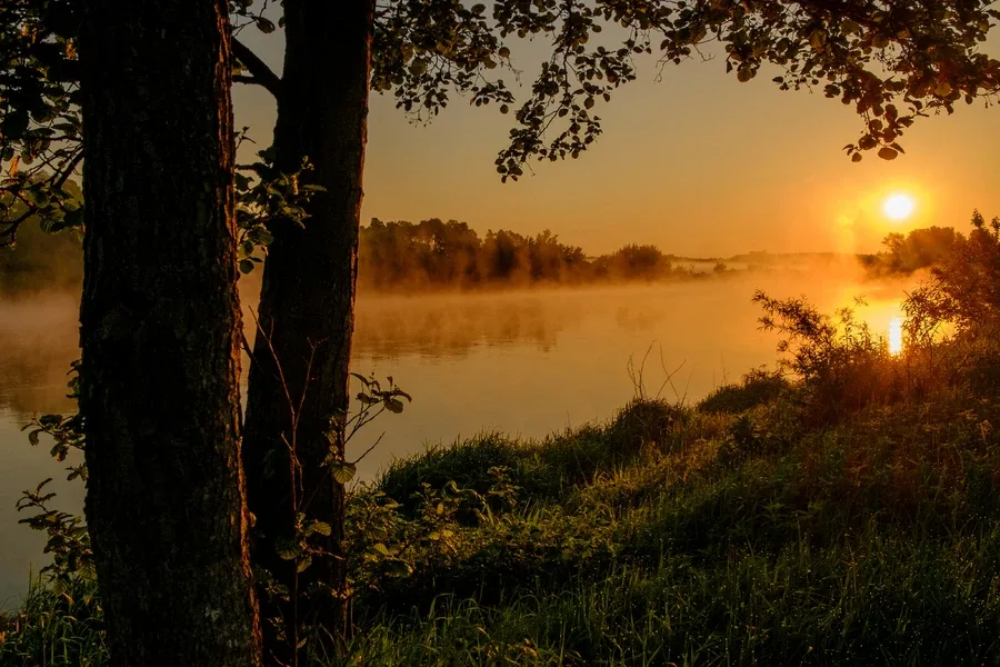 Wernisaż wystawy fotograficznej (zdjęcia)