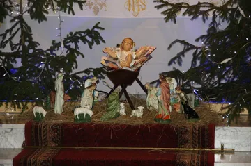 Następne zdjęcie
