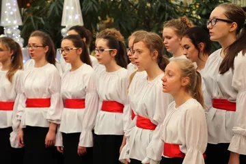 Następne zdjęcie