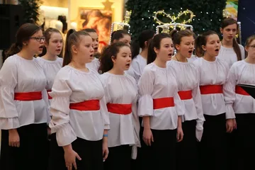 Poprzednie zdjęcie