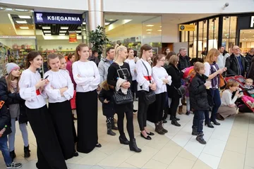 Poprzednie zdjęcie