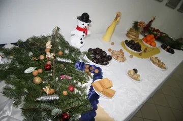 Poprzednie zdjęcie