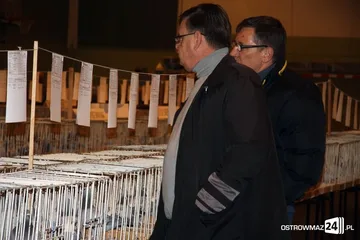 Następne zdjęcie