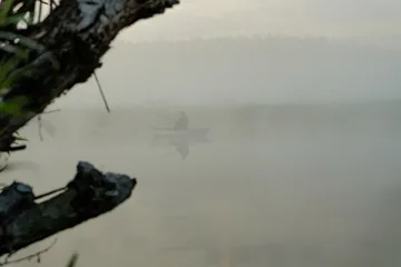 Następne zdjęcie