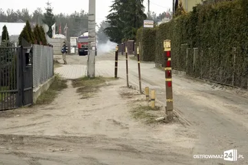 Poprzednie zdjęcie