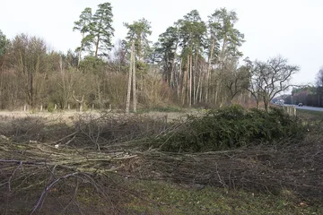 Poprzednie zdjęcie