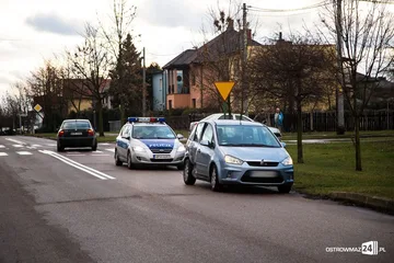 Następne zdjęcie