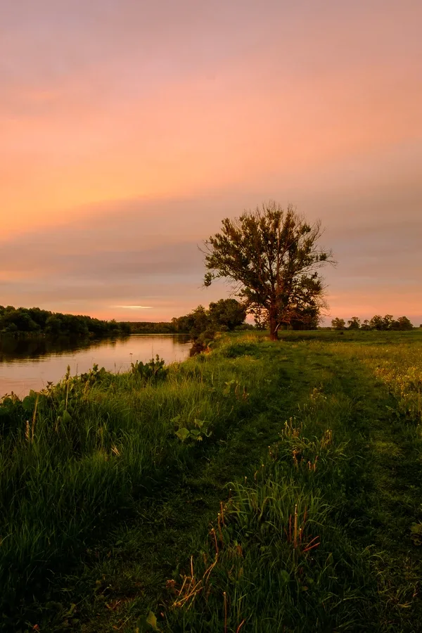 Wernisaż wystawy fotograficznej (zdjęcia)