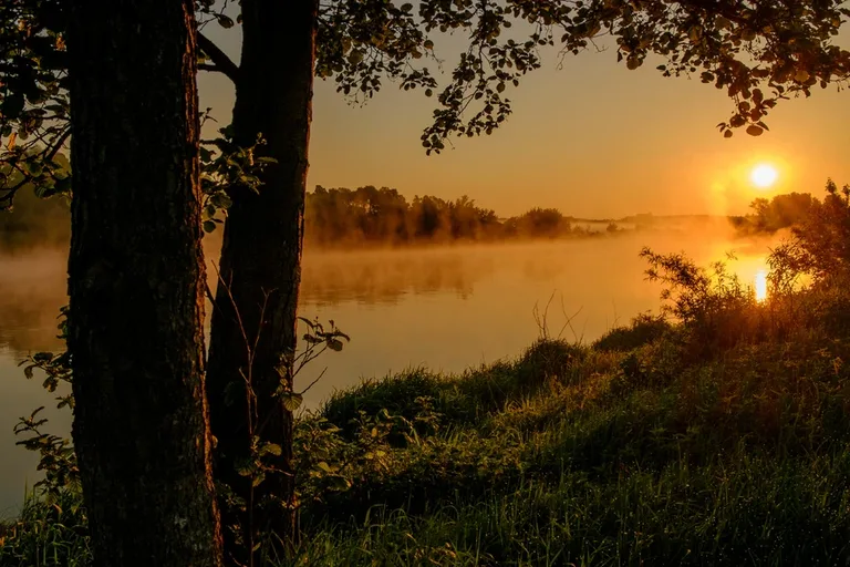 Wernisaż wystawy fotograficznej (zdjęcia)