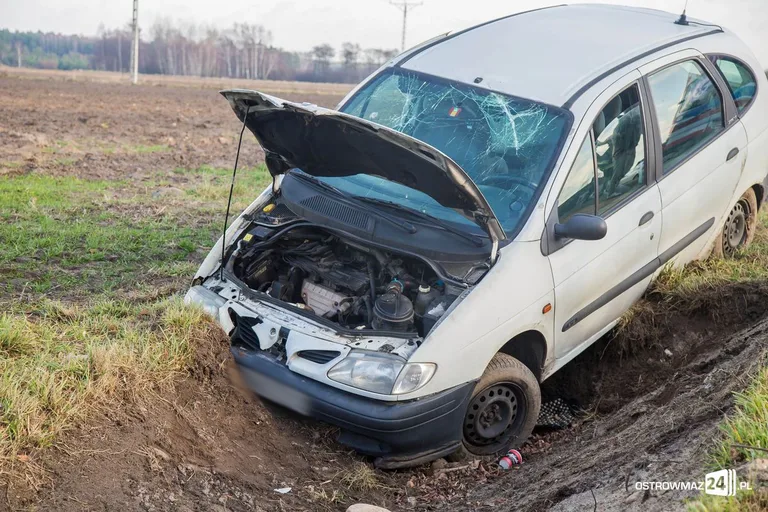 Pijany kierowca renault megane w rowie (zdjęcia)