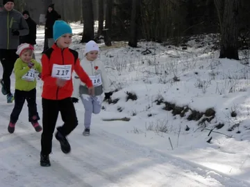 Zimowy Półmaraton Leśny (zdjęcia)
