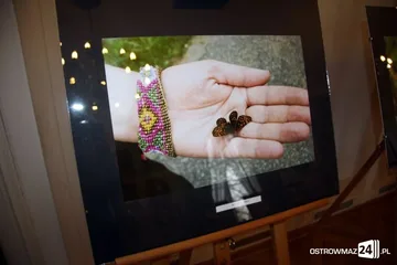 Wystawa 'Efekt Motyla' w ratuszu (zdjęcia)