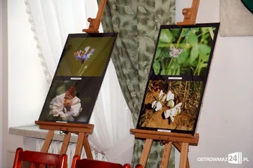Wystawa 'Efekt Motyla' w ratuszu (zdjęcia)