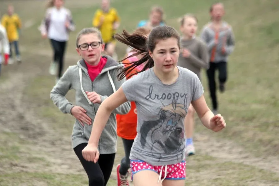 Międzypowiatowe biegi przełajowe (zdjęcia, wideo)