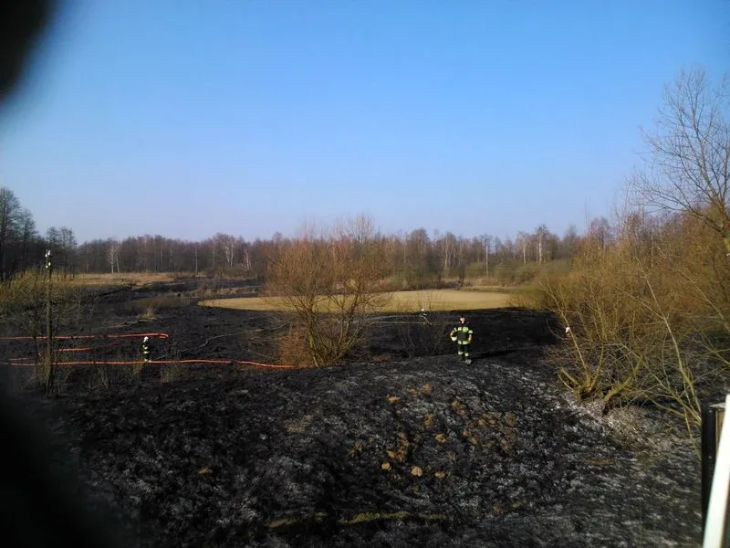 Ogromny pożar w Kleczkowie (zdjęcia, wideo)
