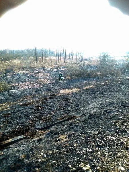 Ogromny pożar w Kleczkowie (zdjęcia, wideo)