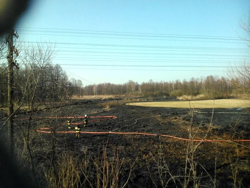 Ogromny pożar w Kleczkowie (zdjęcia, wideo)