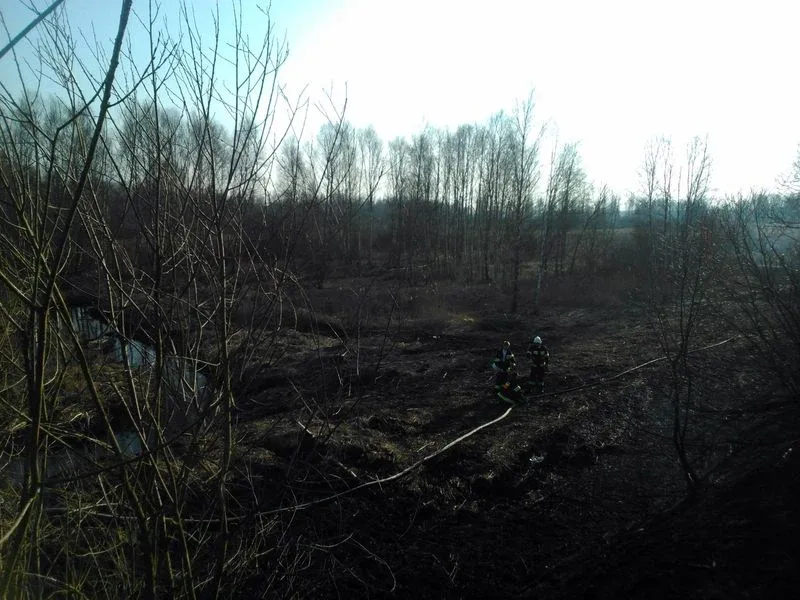 Ogromny pożar w Kleczkowie (zdjęcia, wideo)