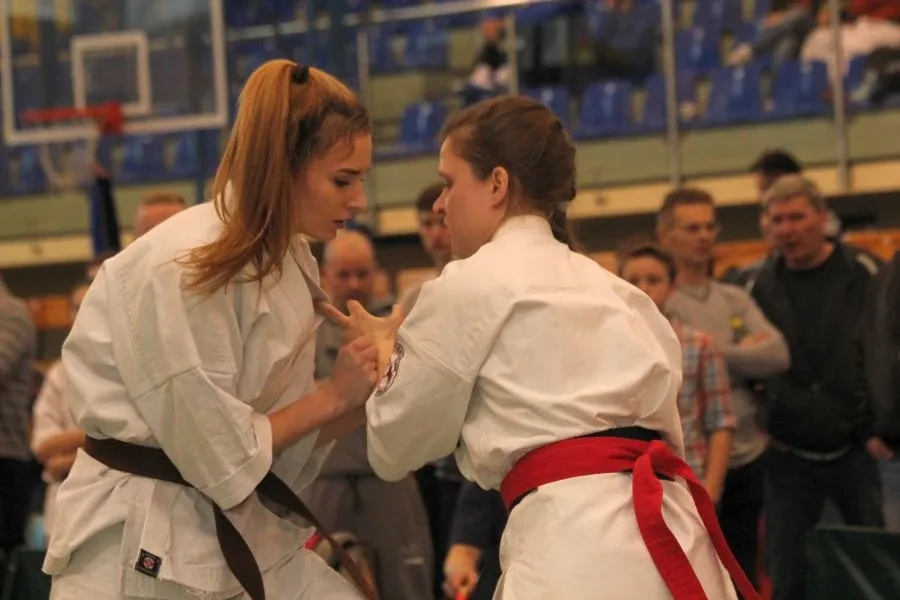 Wielkie starcia karateków (zdjęcia, wideo)