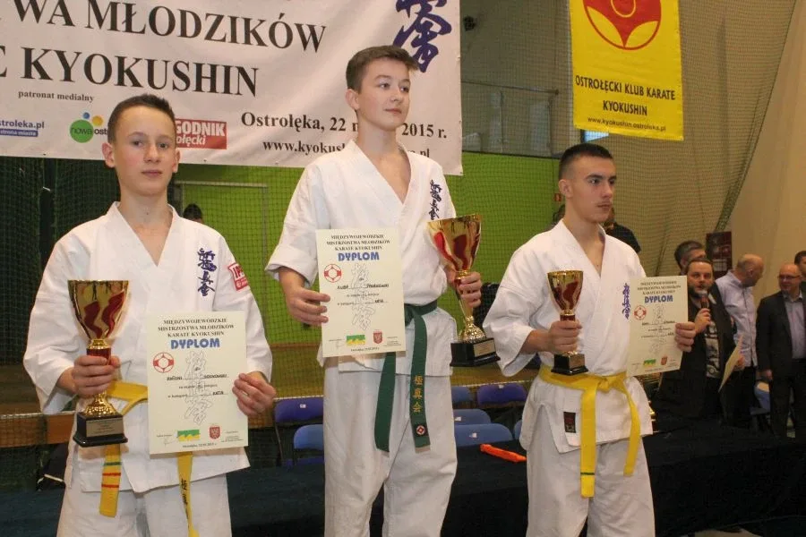 Wielkie starcia karateków (zdjęcia, wideo)
