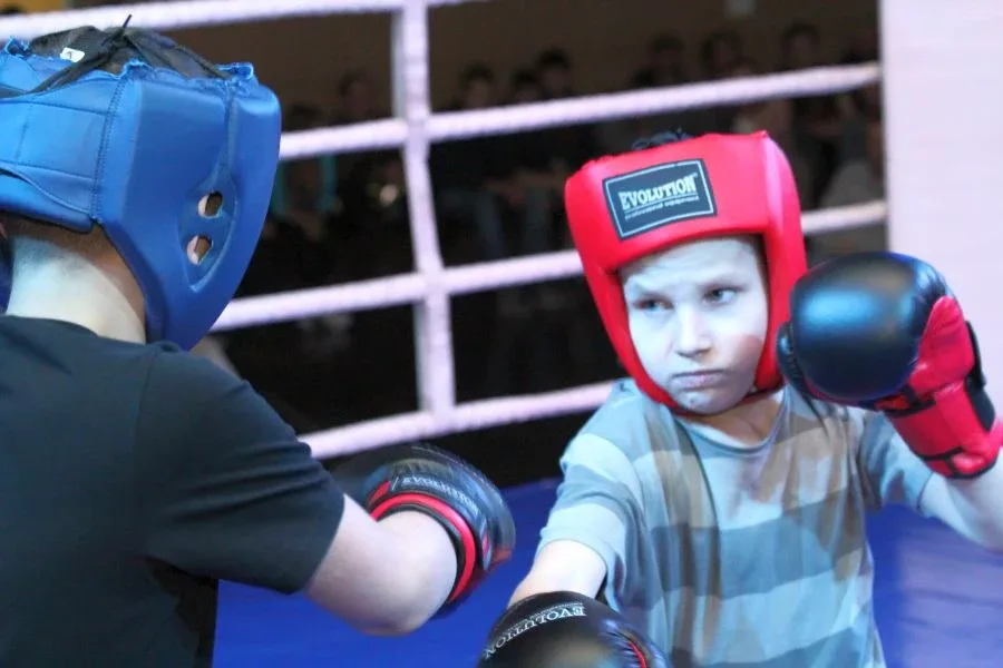 Wieczór pełen emocji w Baranowie (zdjęcia, wideo)
