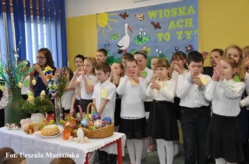 Poprzednie zdjęcie
