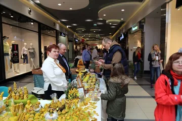 Następne zdjęcie