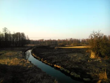 Następne zdjęcie
