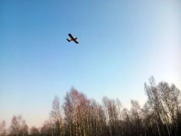 Poprzednie zdjęcie