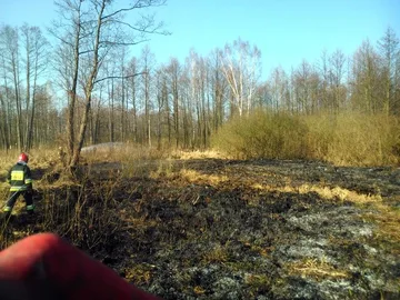 Następne zdjęcie