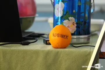 Poprzednie zdjęcie