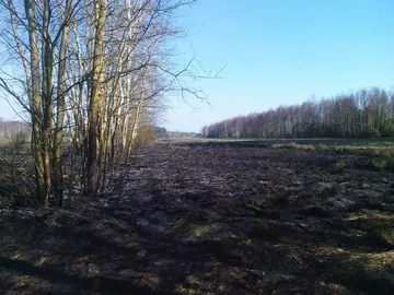 Pożar traw w gminie Wąsewo (zdjęcia)