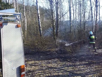 Pożar traw w gminie Wąsewo (zdjęcia)