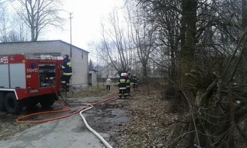 Poprzednie zdjęcie