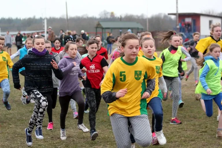 Międzypowiatowe biegi przełajowe (zdjęcia, wideo)